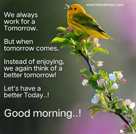 www.mydearquotes.com|300+ Good Morning Messages, Wishes & Quotes .